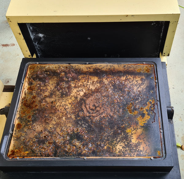 Flat and Vertical Observation Hives
